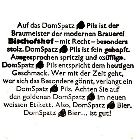 regensburg r-by bischofs dom quad 1b (185-auf das domspatz-schwarz)
